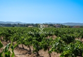 Xalet independent amb terreny en venda a la España, Castellet, ref.: TR169732 foto