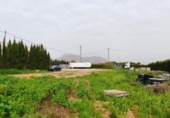 Non-developable land for sale on España, Orihuela, ref: TR369563 photo