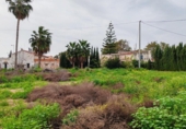 Non-developable land for sale on España, Orihuela, ref: TR369563 photo
