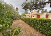 Casa amb terreny en venda a la España, Sencelles, ref.: TR338034 foto