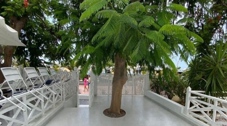 Santa Cruz de Tenerife - Adeje - 200m2