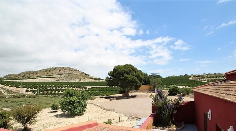Alicante - Orihuela - 13700m2