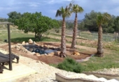 Xalet independent amb terreny en venda a la España, Benissa, ref.: TR315599 foto
