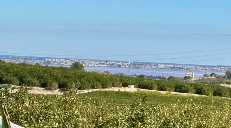 Alicante - Sant Miquel de les Salines - 300m2