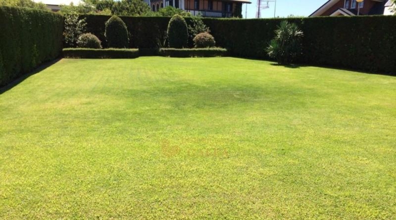 Biscay - Guecho - 440m2