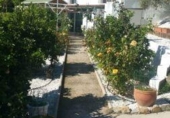 Xalet independent amb terreny en venda a la España, Estepona, ref.: TR167558 foto