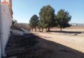 House with land for sale on España, Chinchilla de Montearagón, ref: TR155905 photo