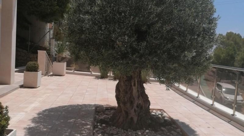 Alicante - Altea - 1400m2