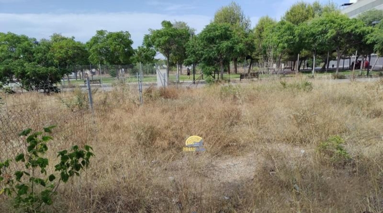 Valencia - Sagunto - 900m2