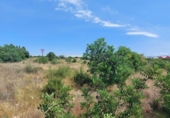 Suelo urbano en venta en la España, Tarragona, ref: TR184510 foto