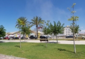 Land suitable for development for sale on España, Murcia, ref: TR114681 photo