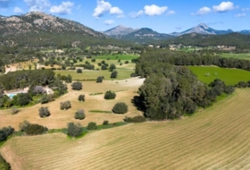 Calvià 150000&nbsp;m² 