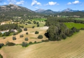 Casa de camp amb terreny en venda a la España, Calvià, ref.: TR160761 foto