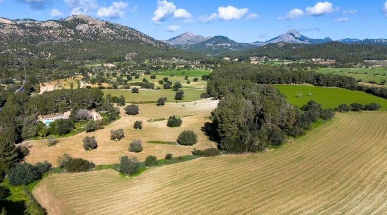 Islas Baleares - Calvià - 150000m2