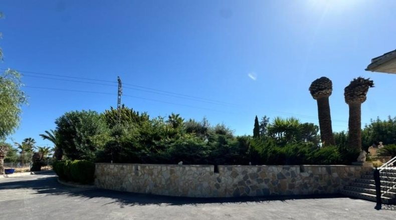 Alicante - San Miguel de Salinas - 13000m2