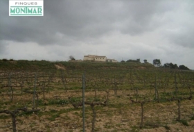 Sant Jaume dels Domenys 255623&nbsp;m²