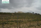 Xalet independent amb terreny en venda a la España, Sant Jaume dels Domenys, ref.: TR135549 foto