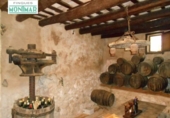 Xalet independent amb terreny en venda a la España, Sant Jaume dels Domenys, ref.: TR135549 foto