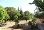 Xalet independent amb terreny en venda a la España, Bunyola, ref.: TR136045 foto