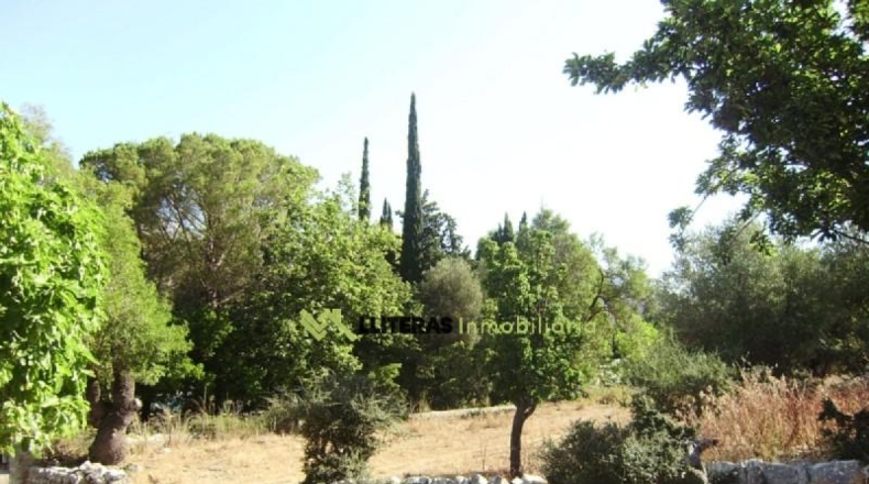 Islas Baleares - Bunyola - 174800m2