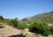 Xalet independent amb terreny en venda a la España, Bunyola, ref.: TR136045 foto