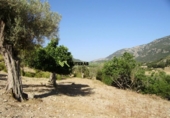Xalet independent amb terreny en venda a la España, Bunyola, ref.: TR136045 foto