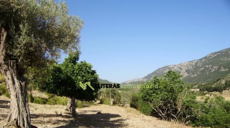 Islas Baleares - Bunyola - 174800m2