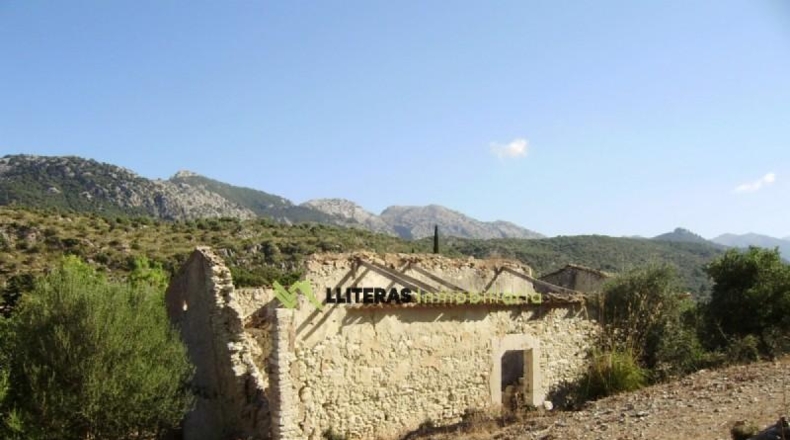 Islas Baleares - Bunyola - 174800m2