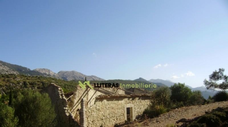 Islas Baleares - Bunyola - 174800m2