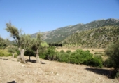 Xalet independent amb terreny en venda a la España, Bunyola, ref.: TR136045 foto