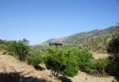 Xalet independent amb terreny en venda a la España, Bunyola, ref.: TR136045 foto