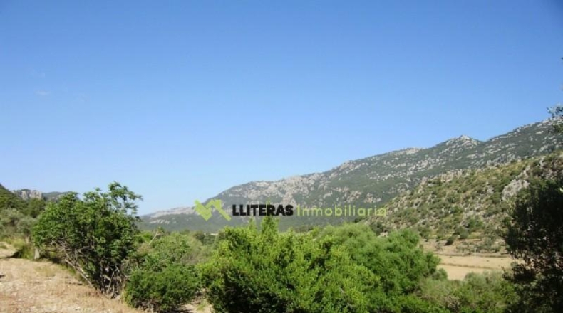 Islas Baleares - Bunyola - 174800m2