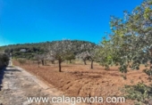 Detached villa with land for sale on España, Felanitx, ref: TR137975 photo