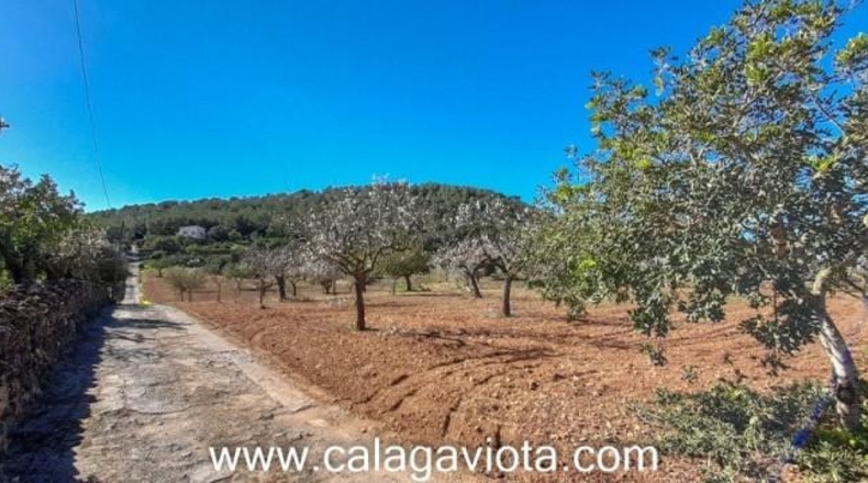 Islas Baleares - Felanitx - 17500m2
