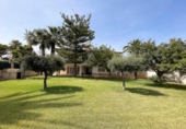 Xalet independent amb terreny en venda a la España, Oriola, ref.: TR369747 foto