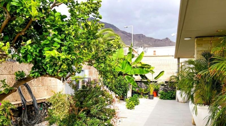 Santa Cruz de Tenerife - Adeje - 508m2