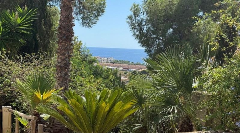 Alicante - Moraira - 2451m2
