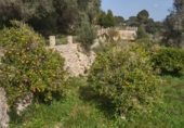 Xalet independent amb terreny en venda a la España, Llucmajor, ref.: TR144482 foto