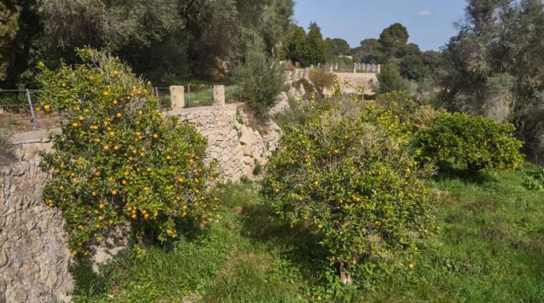 Islas Baleares - Llucmajor - 171521m2