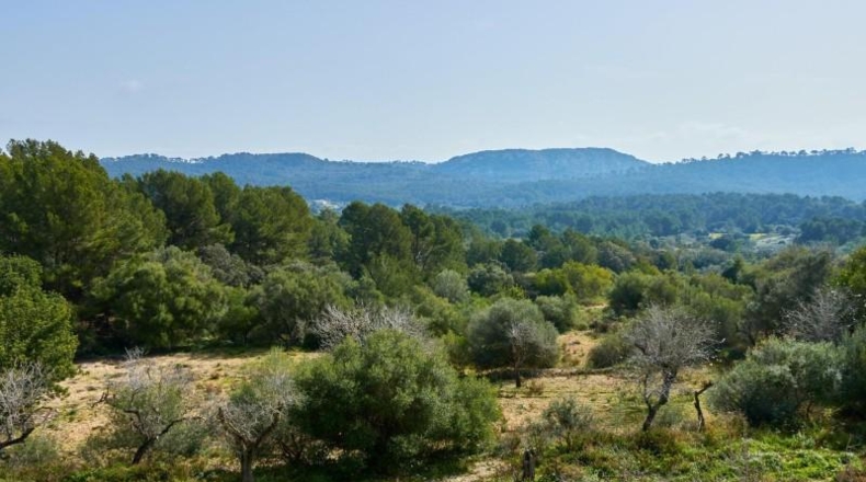Islas Baleares - Llucmajor - 171521m2