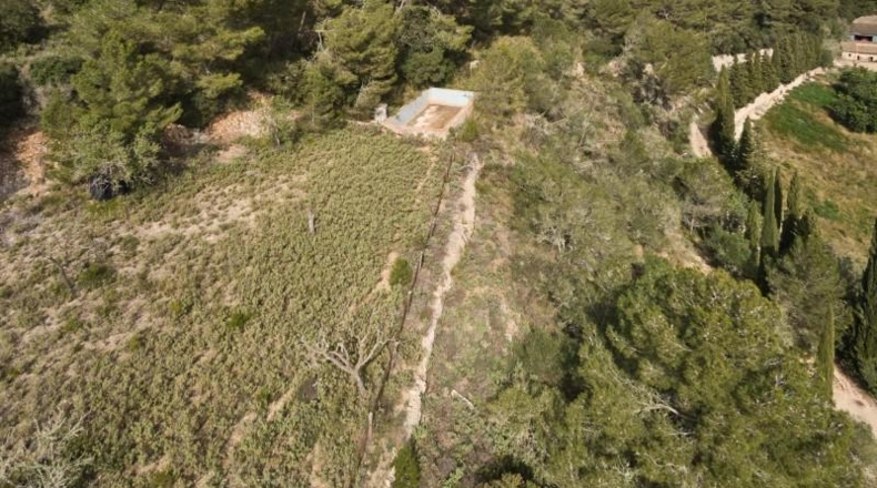 Islas Baleares - Llucmajor - 171521m2