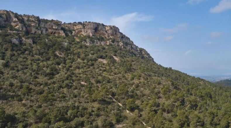 Islas Baleares - Llucmajor - 171521m2