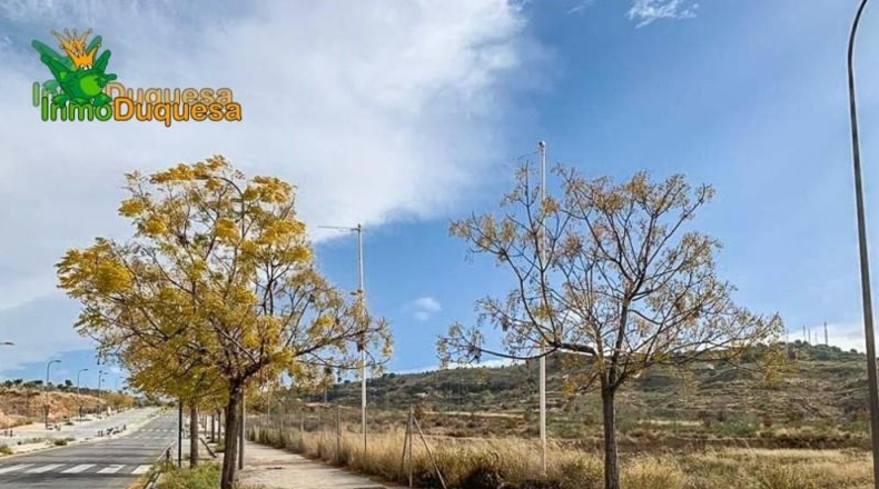Granada - Granada - 5487m2