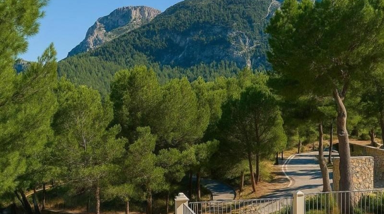 Alicante - Callosa de Ensarriá - 29935m2