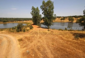 Alcuéscar 658561&nbsp;m²