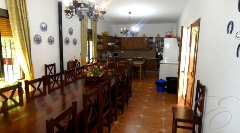 Córdoba - Монтийя - 26600m2