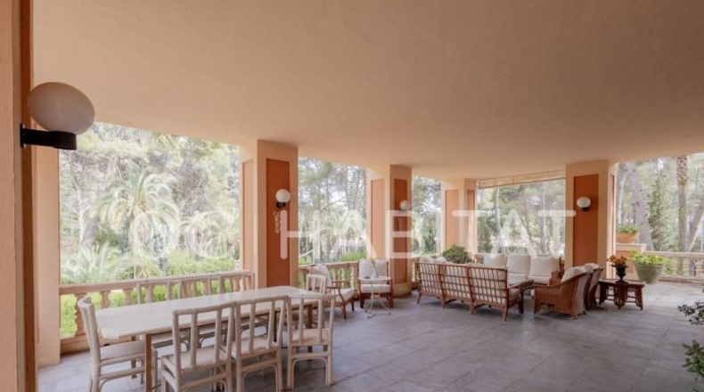 Valencia - Nàquera / Náquera - 5000m2