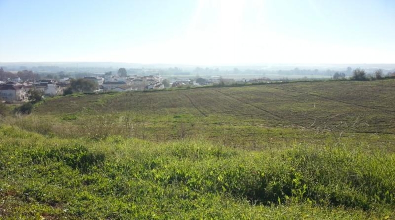 Córdoba - Almodóvar del Río - 40000m2