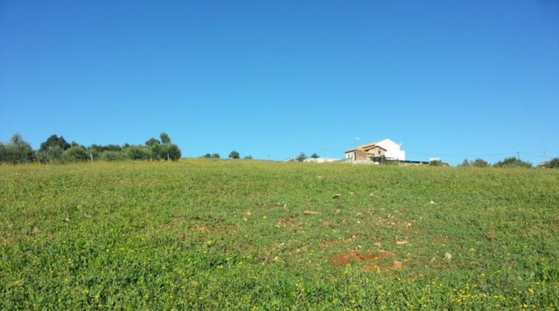 Córdoba - Almodóvar del Río - 40000m2