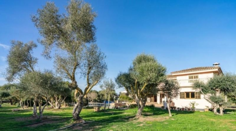 Islas Baleares - Palma - 7500m2